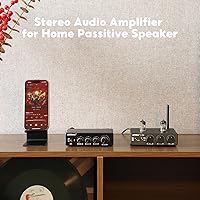 AIYIMA A01 100W + 100W TPA3116 Stereo Amplifier — image 7