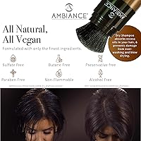 Ambiance Natural Dry Shampoo Powder & Brush for Dark Hair - Brunette Tinted — image 2