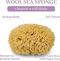 Baudelaire Sea Wool Sponge 5.5″ — image 2
