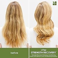 Biolage Strength Recovery Repairing Spray 9.63oz — image 2