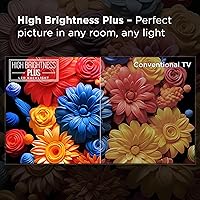 TCL 98-Inch Q65 QLED 4K UHD Smart TV — image 8