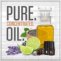 Musk & Hustle Nitro Musk Cologne Roll-On 2.5mL — image 9