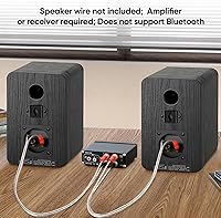 Riowois DS6800M Bookshelf Speakers — image 6