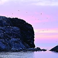 Nikon NIKKOR Z 100-400mm VR S Telephoto Lens — image 5