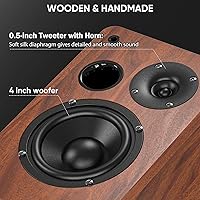 Saiyin DS6701 Bluetooth Bookshelf Speakers — image 4