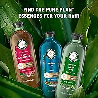 Herbal Essences Argan Oil Repair Shampoo & Conditioner Set, 20.2 Fl Oz, 2-Pack — image 11