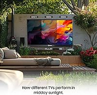 SYLVOX 55” Outdoor Smart TV — image 2