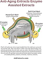 Pure Green Tea Extract for Skin and Hair – 8 fl oz — image 9