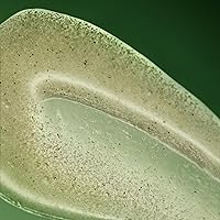 Aesop Geranium Leaf Exfoliating Body Scrub 6.2 oz — image 7