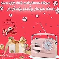 Wenpzeray D-216 Portable AM/FM Shortwave Radio Bluetooth Speaker — image 8