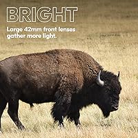 Nikon PROSTAFF P3 8x42 Binocular — image 7