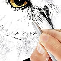 Samsung Chromebook Plus V2 2-in-1 Laptop 4GB RAM 64GB eMMC — image 3