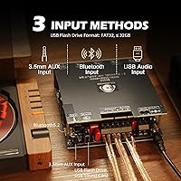 DAJUNGUO S600X 2.1 Channel Amplifier Board — image 3