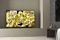 Sony XBR-43X800G 43-inch 4K UHD LED Smart Android TV — image 2