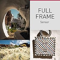 Panasonic LUMIX S9 Mirrorless Camera — image 10