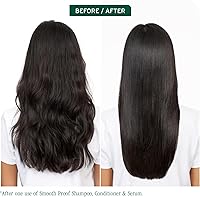 Biolage Smooth Proof Shampoo & Conditioner Set, 33.8 Fl Oz — image 2