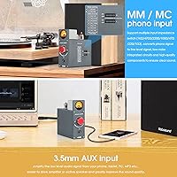 Douk Audio T4 Plus Vacuum Tube Phono Preamplifier — image 2