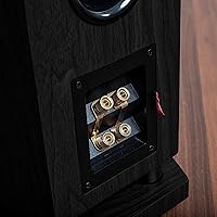 Fluance XL8F Reference High Performance Floorstanding Speakers — image 6