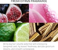 Fekkai Full Blown Volume Conditioner 1 Liter — image 4