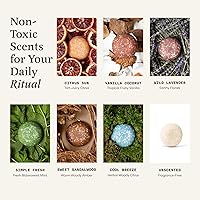 The Earthling Co. Shampoo & Conditioner Bar Set – Wild Lavender — image 7