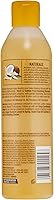 SoftSheen-Carson Dark and Lovely Au Naturale Moisture LOC Sulfate-Free Cleansing Shampoil, 13.5 fl oz — image 2