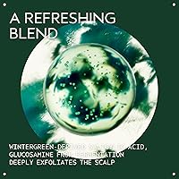 Aveda Scalp Solutions Exfoliating Scalp Treatment 6oz — image 3