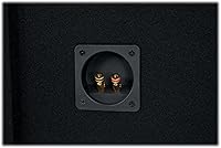 Rockville RV208P Dual 8″ Subwoofer in Vented Enclosure — image 6