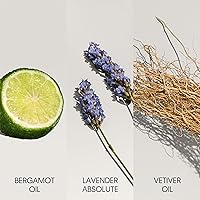 Calvin Klein Defy Eau de Toilette 100mL — image 3