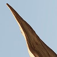 Hugo Boss Bottled Tonic Eau de Toilette 100mL — image 6