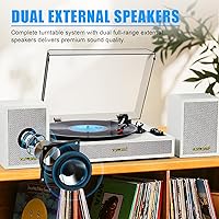 TANLANIN TE-2028WT Turntable — image 7