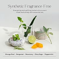 Everist Haircare Essentials Duo Shampoo & Deep Conditioner, 3.4oz Each — image 8