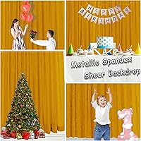 SFN SKY 10ft x 10ft Gold Metallic Spandex Backdrop — image 4