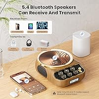 FREEFISH Retro Portable CD Player with Bluetooth, FM Radio, Dual Speakers — image 4