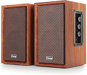 Cinnkeyi C5201 Bluetooth Bookshelf Speakers Review