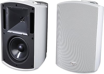 Klipsch AW-650 Outdoor Speaker