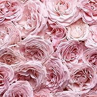 Escada Especially Eau De Parfum 1oz — image 6