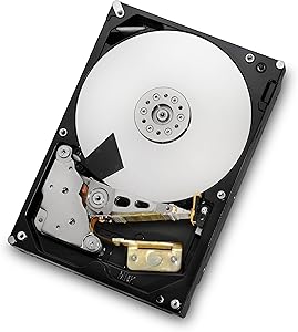 HGST Deskstar 2TB 7200RPM SATA III Internal Hard Drive Review