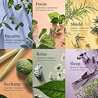 Sprig by Kohler Bath Bomb Gift Set, 6 Pack — image 2