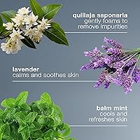 Dermalogica Special Cleansing Gel 10oz — image 5