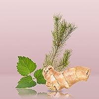 Calvin Klein Euphoria Eau de Toilette 100mL — image 4