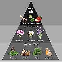 WHISKY BLACK OP Eau de Toilette for Men – 3.4 Fl Oz — image 4