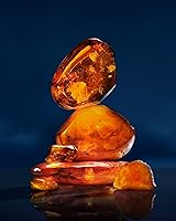 RALPH LAUREN Polo 67 Eau de Parfum 125mL — image 5