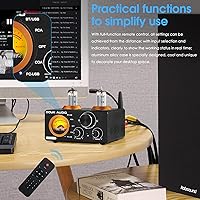 Douk Audio ST-01 PRO Bluetooth Vacuum Tube Amplifier — image 6