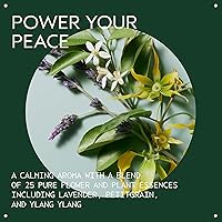 Aveda Shampure Body Lotion 6.7oz — image 3