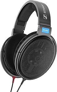 Sennheiser HD 600 Audiophile Headphones Review