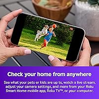 Roku Battery Camera — image 2