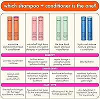 Amika Normcore Signature Shampoo 10.88oz — image 7