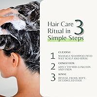 Edenika Botanicals Peppermint Shampoo & Conditioner 16 fl oz — image 6