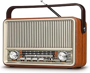 PRUNUS J-120 Retro Vintage Radio Review