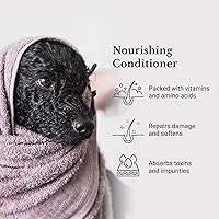 iGroom Charcoal Keratin Dog Conditioner 16oz Summer Fig — image 3